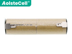 Batterie Pour AEG Junior 1000