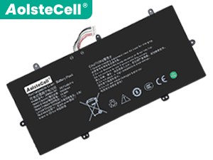 Batterie Pour AolsteCell 2895B4-001