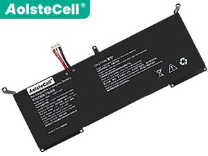 Batterie Pour AolsteCell 408474-3S1P