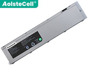 Batterie Pour AolsteCell 675895
