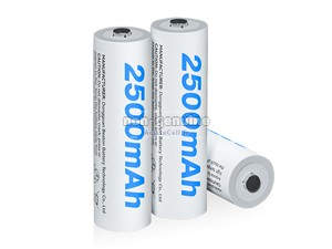 Batterie Pour AolsteCell MN1500