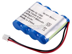 Batterie Pour AolsteCell QL1200
