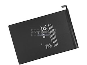Batterie Pour Apple mini 5