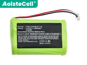 Batterie Pour Bang Olufsen Beo5