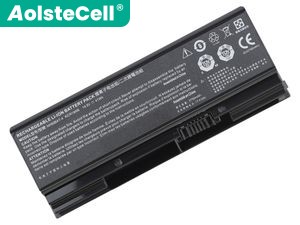 Batterie Pour Clevo Medion Erazer P15601(NH55RHQ-M)