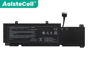 Batterie Pour Clevo 41CP/60/57