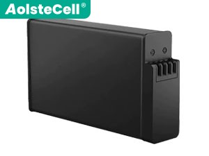 Batterie Pour GoPro MAX2 Enduro