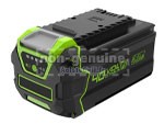 Batterie Pour Greenworks 2901319