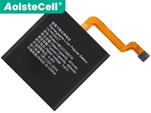 Batterie Pour Huawei GT2 Pro