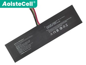 Batterie Pour iru R3