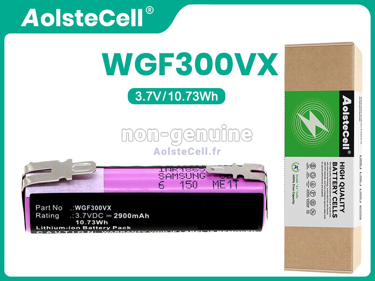 Batterie Pour Karcher WGF300VX