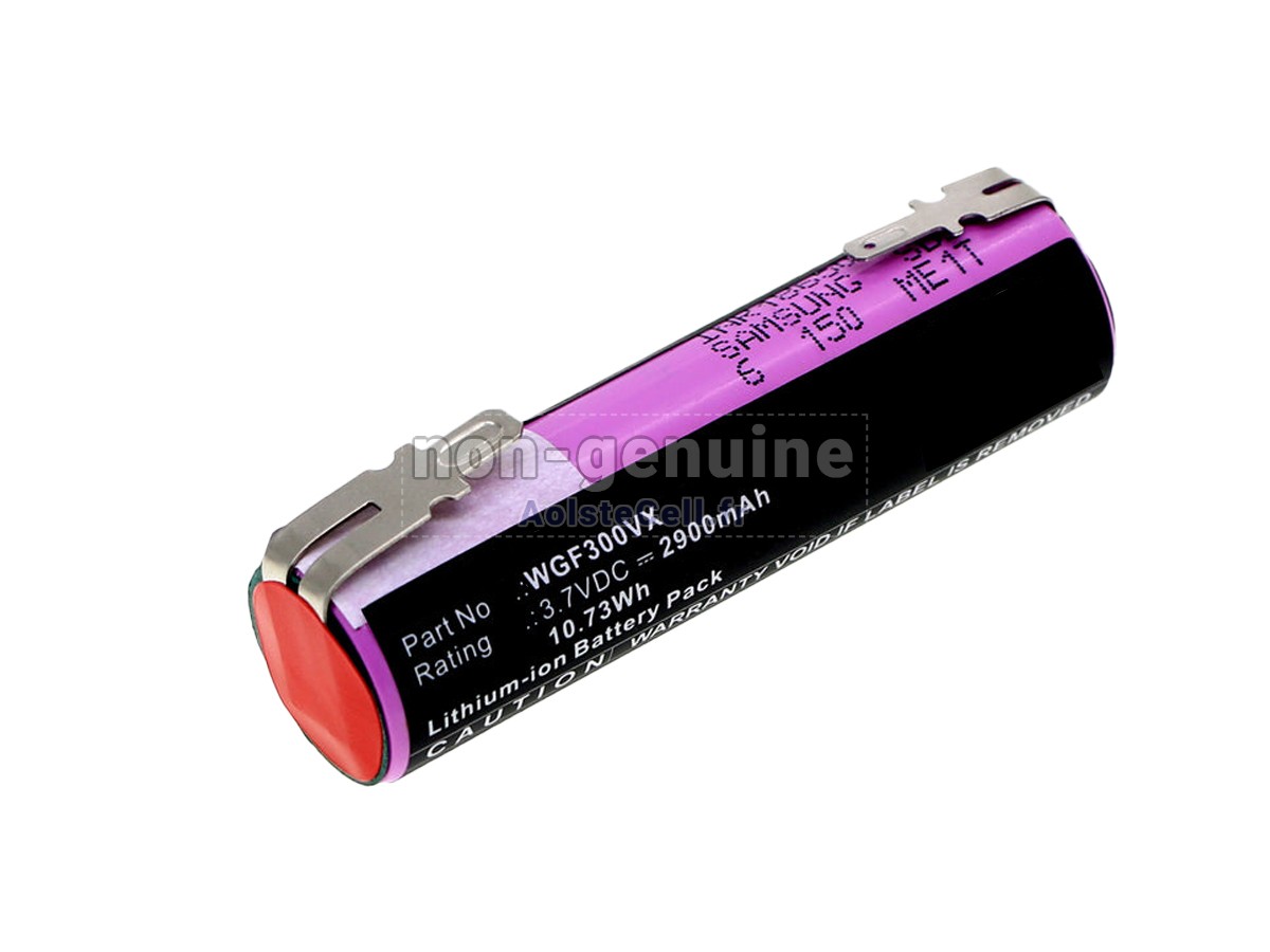 Batterie Pour Karcher WGF300VX