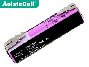 Batterie Pour Karcher WV70 Plus