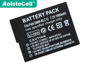 Batterie Pour Leica CL