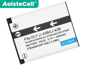 Batterie Pour Leica SL1031