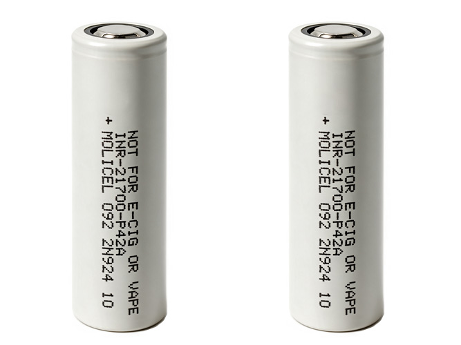 Batterie Pour Molicel p42A10C