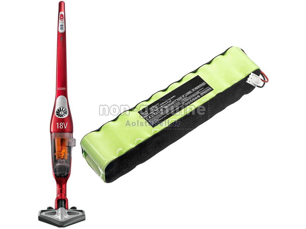 Batterie Pour Rowenta 2210018381