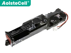Batterie Pour Rowenta RH8828WO/2D2