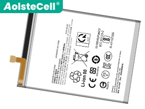 Batterie Pour Samsung EB-BA166ABY