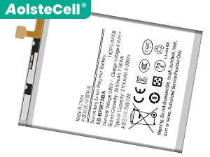 Batterie Pour Samsung EB-BF907ABA
