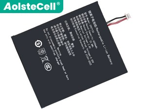 Batterie Pour Teclast P30T